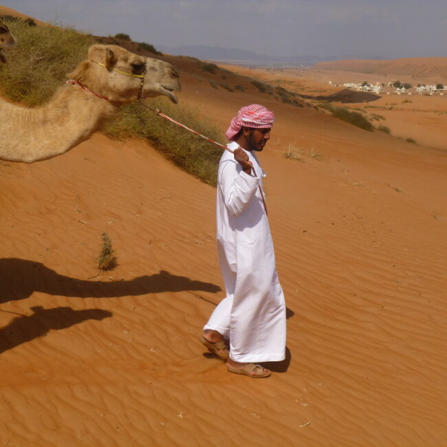 Oman, Wahiba Sands, Wüstencamp, Wüste, Kamel. Ausflug, Der Reisekoffer, reisen