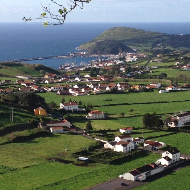 Azoren, Faial, Aussicht, Landschaft, Häuser, grün, Meer, der Reisekoffer, reisen