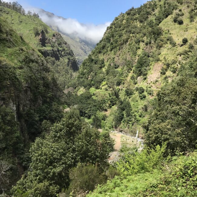 Madeira, Levada do Moinho, Bewässerungskanal, wandern, Berge, steil, Der Reisekoffer, reisen